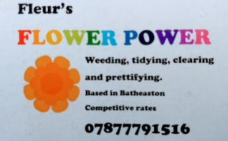 Fleur's Flower power and Fleurtyfairy Company Logo by fleur demeranville dash in BATH England
